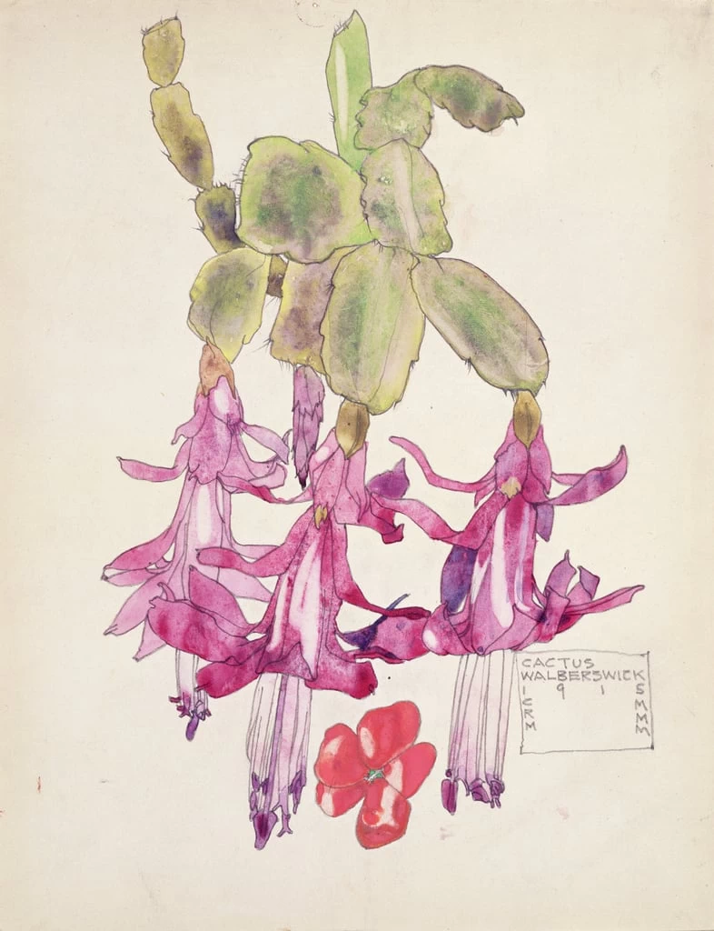Fiore di cactus, 1915 - Sheffield Galleries and Museums Trust